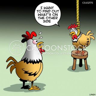 Suicide Chicken