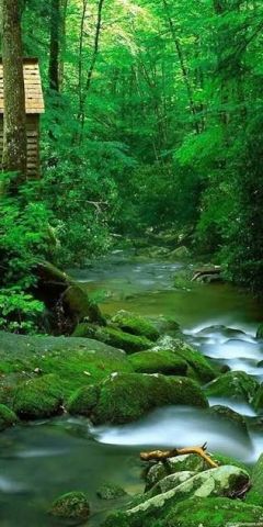images 13