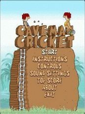 cricket game