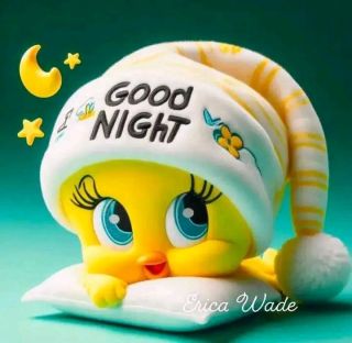Good nigh