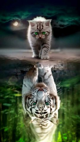 Growing tiger_wallpaper_by_UNIQUEGEE