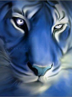 5Blue Tiger