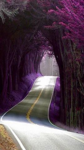 Beautiful%20Road