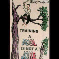 Training a fool