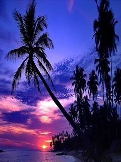 beautiful