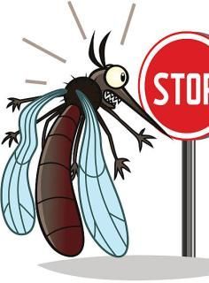 StopMosquito