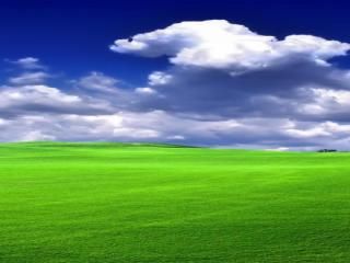 Land scape