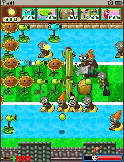 Plant vs Zombie
