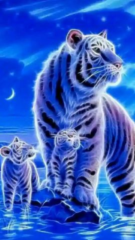 Blue tiger fam