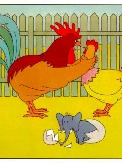 Chicken quarrel