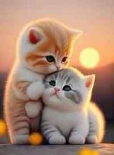 Catlove
