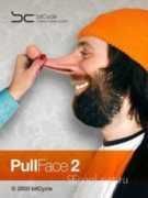fullface
