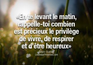 Proverbe