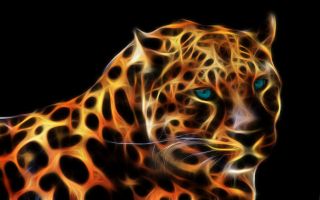 Leopard 3D   Fractalius