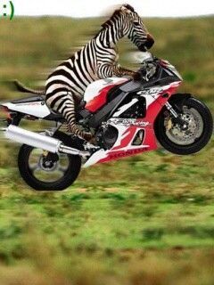 Funny