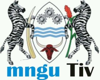 Tiv Coat of Arms(01)