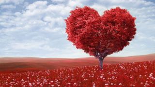 I Love You Diamonds