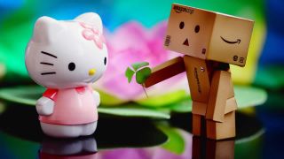 love you kitty