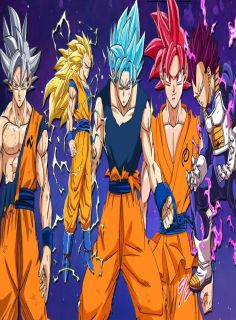 dragon ball super saiyans